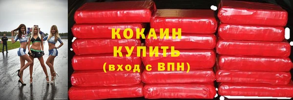 дмт Инта