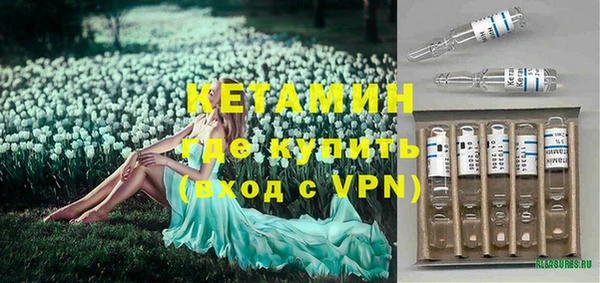 дмт Инта