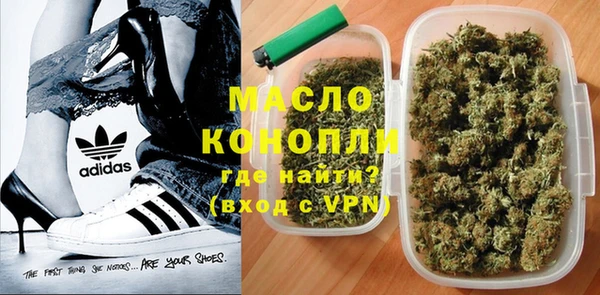 дмт Инта