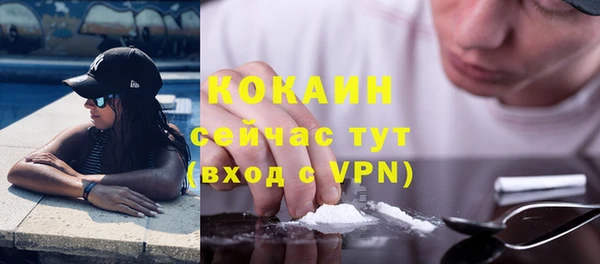 дмт Инта