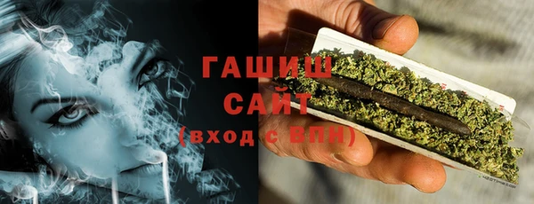 дмт Инта