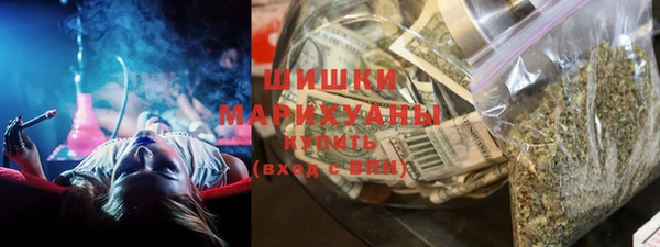 дмт Инта