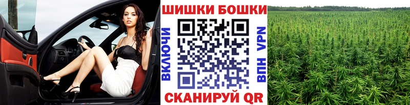 Канабис семена Вольск